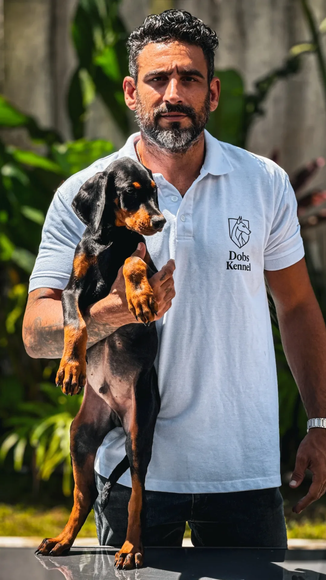 Filhote de doberman preto no colo