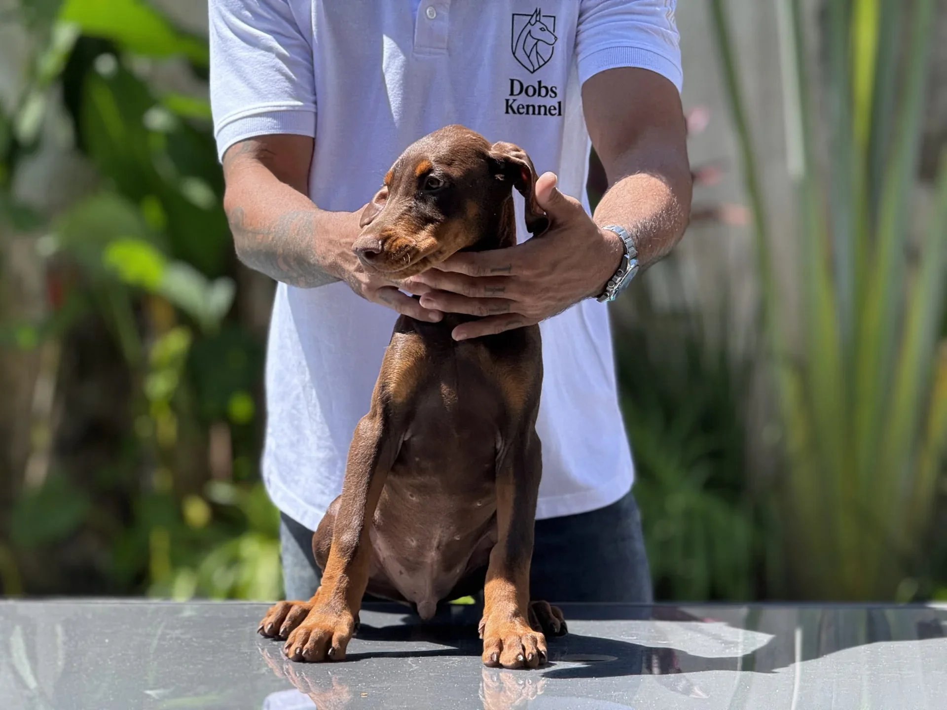 Zig Dobs Kennel — foto 19