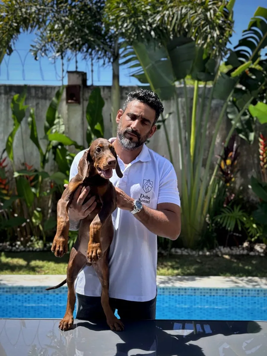 Kratos Dobs Kennel — foto 17