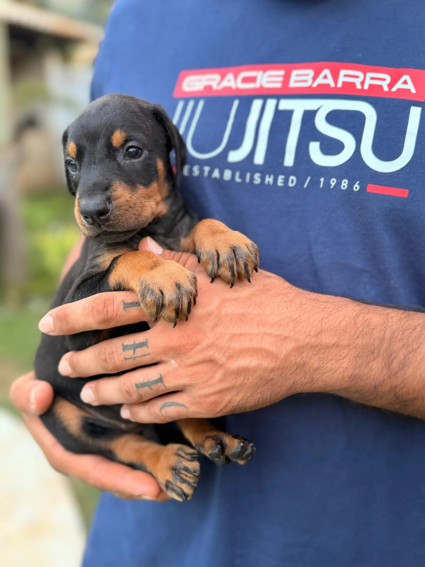 Crist Dobs Kennel — foto 7