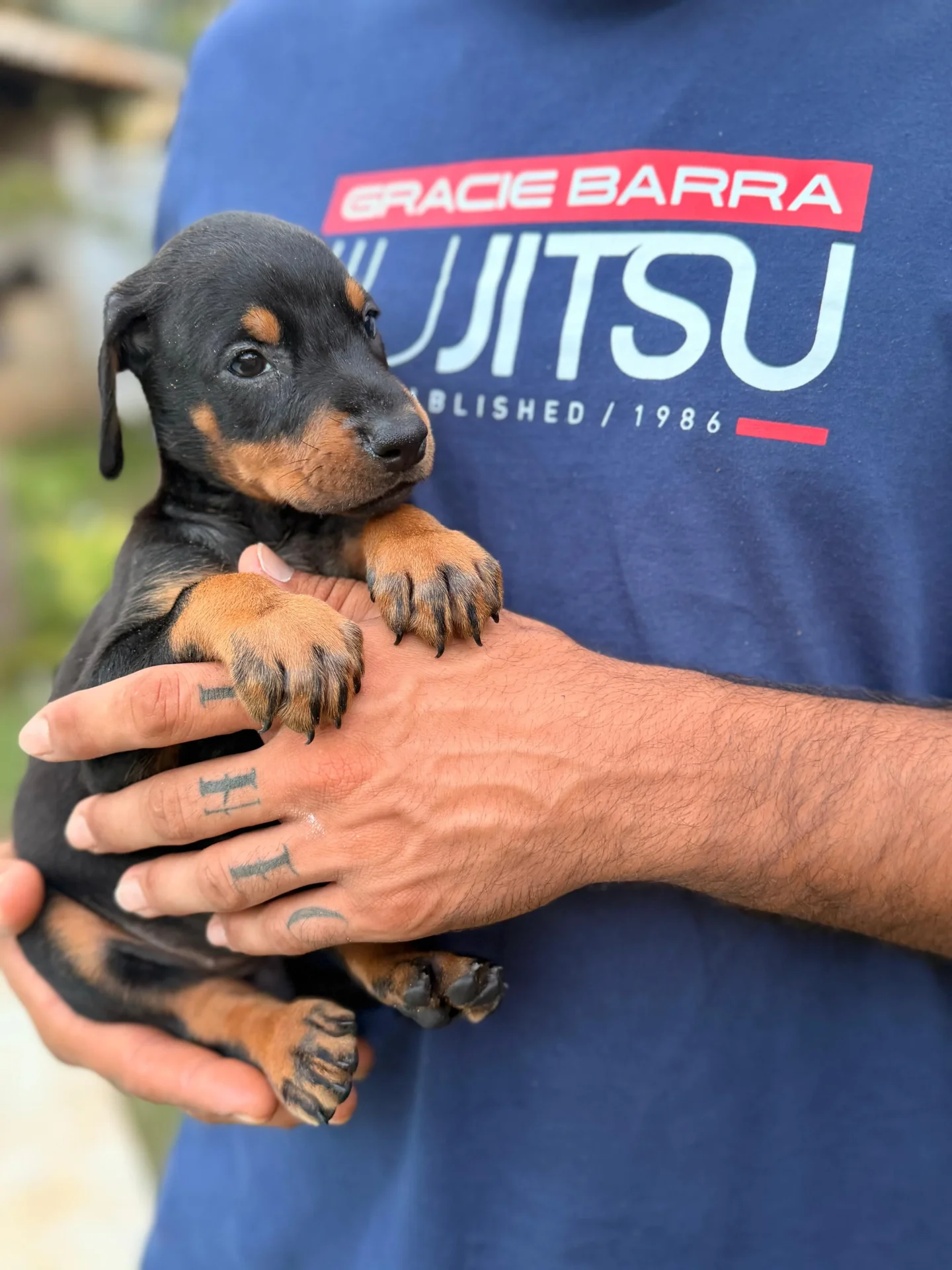 Crist Dobs Kennel — foto 8