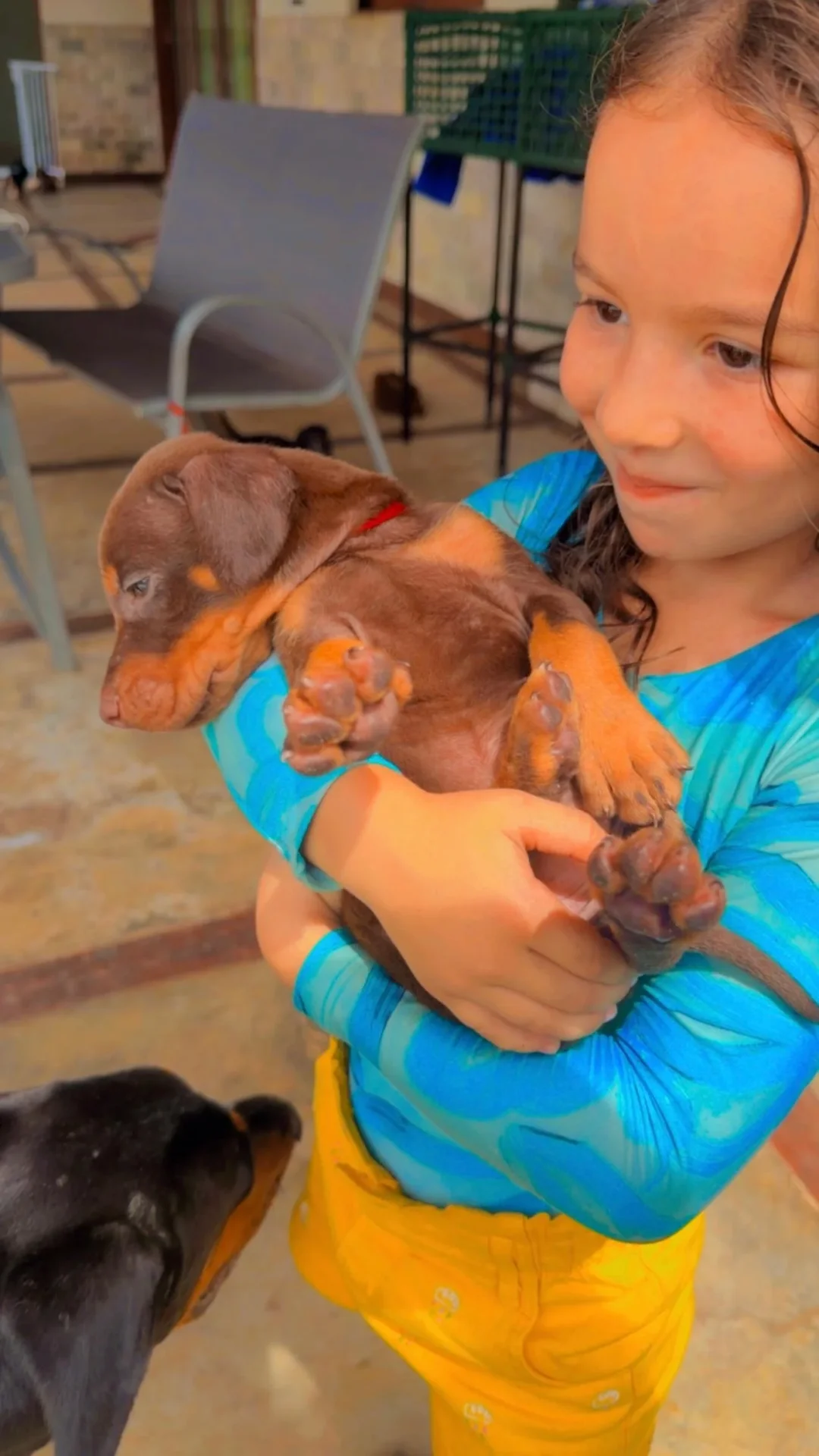 Frida Dobs Kennel — foto 8