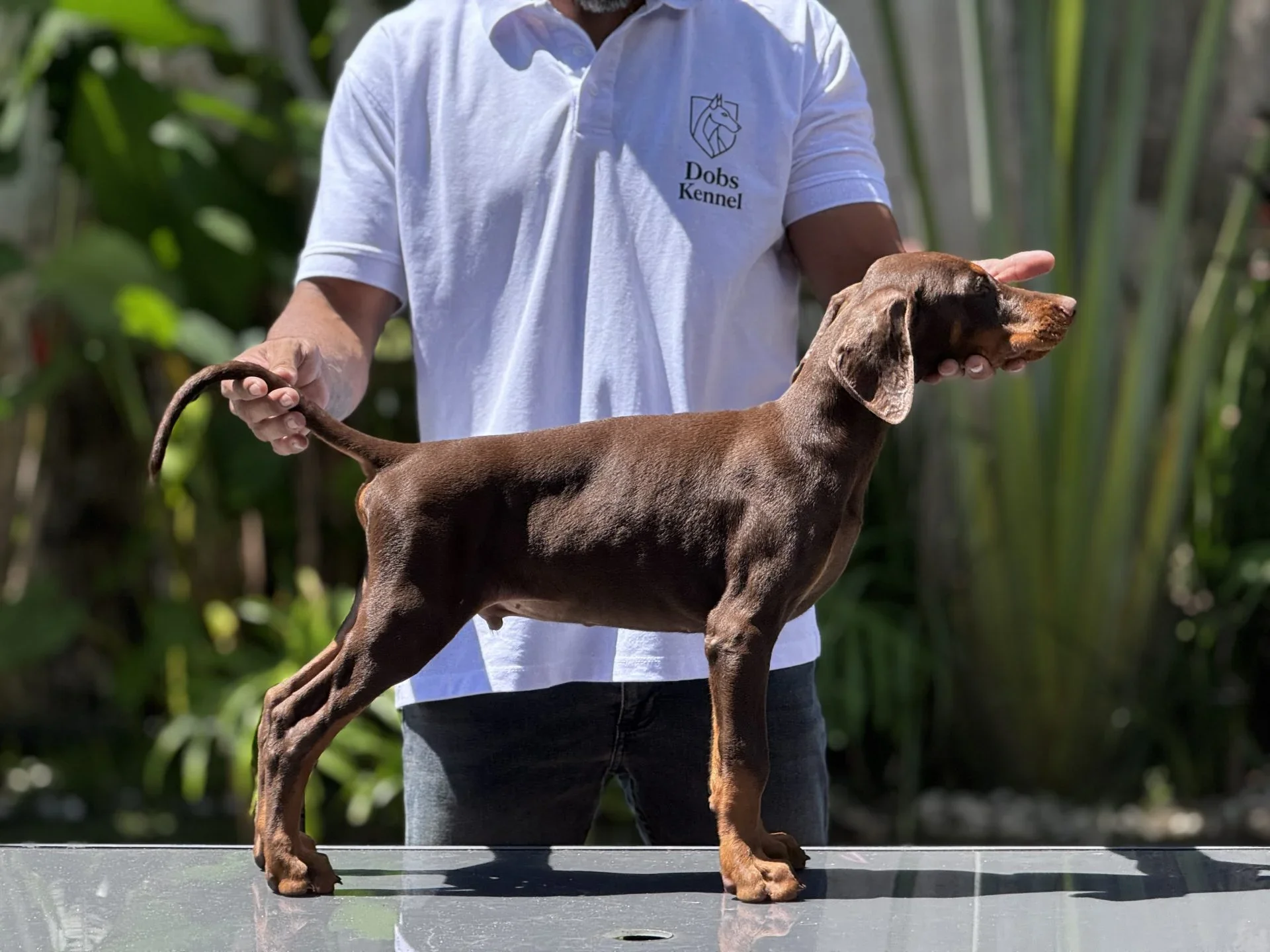 Zig Dobs Kennel — foto 5